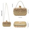 Women's high-end luxury metal dinner handbags, wedding parties, parties, and dinner wallets-001