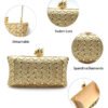 Women's high-end luxury metal dinner handbags, wedding parties, parties, and dinner wallets-004