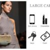 Women's high-end luxury metal dinner handbags, wedding parties, parties, and dinner wallets-001